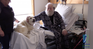 TDHS Therapy Dog Awareness Month 2019