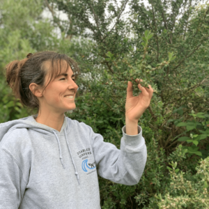 Summer Wellness Walking