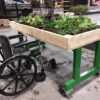 Raised Bed (Wheelchair)